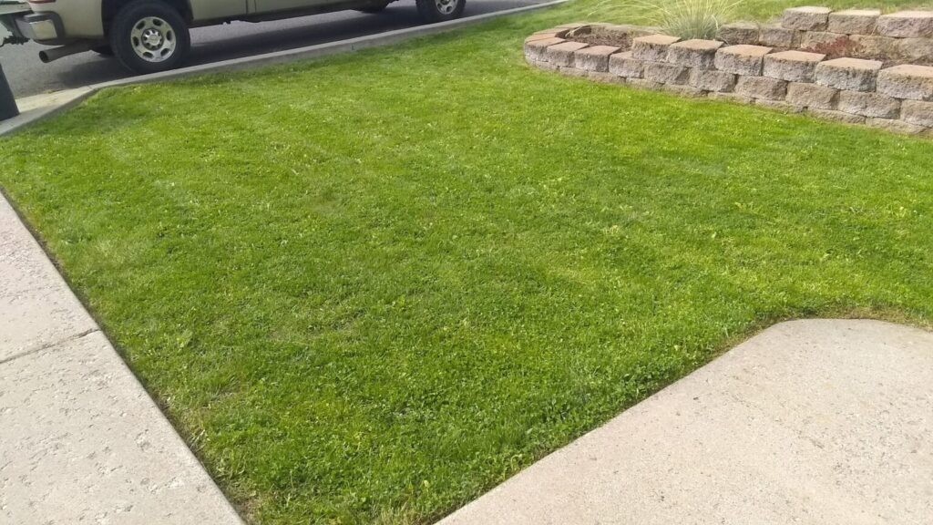 Landscaping Services img 20210826 102238737 1536x864